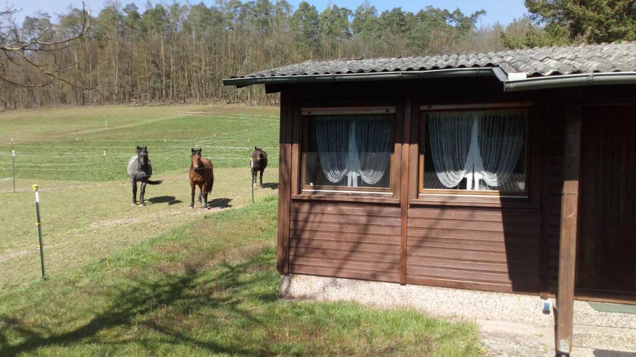Апартаменти Reitstation Rossmuehle Grafendorf  Екстер'єр фото